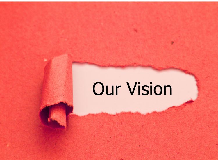 Vision
